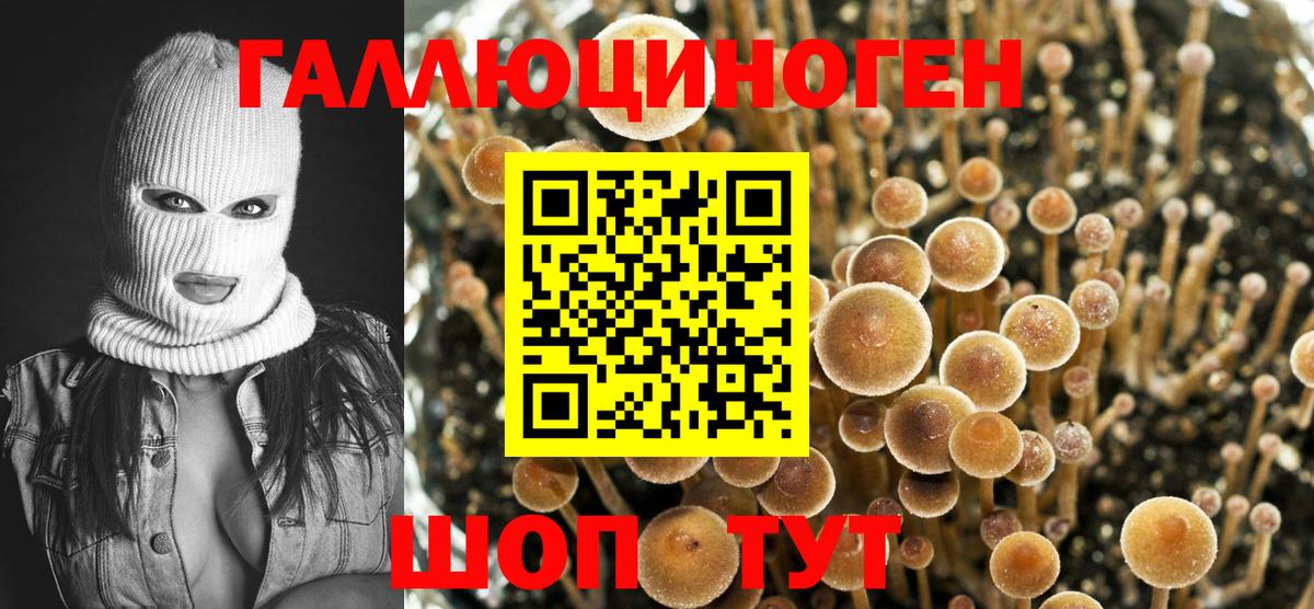 Галлюциногенные грибы Magic Shrooms  Вход с VPN  Новочеркасск 